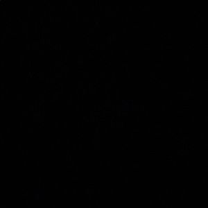 Meet your Posher, Latoya